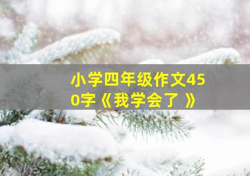 小学四年级作文450字《我学会了 》